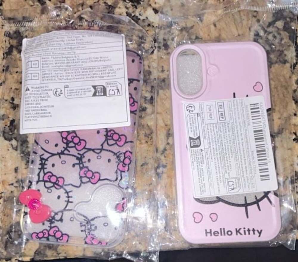 Hello Kitty iPhone 16 Cases New Pink (2)